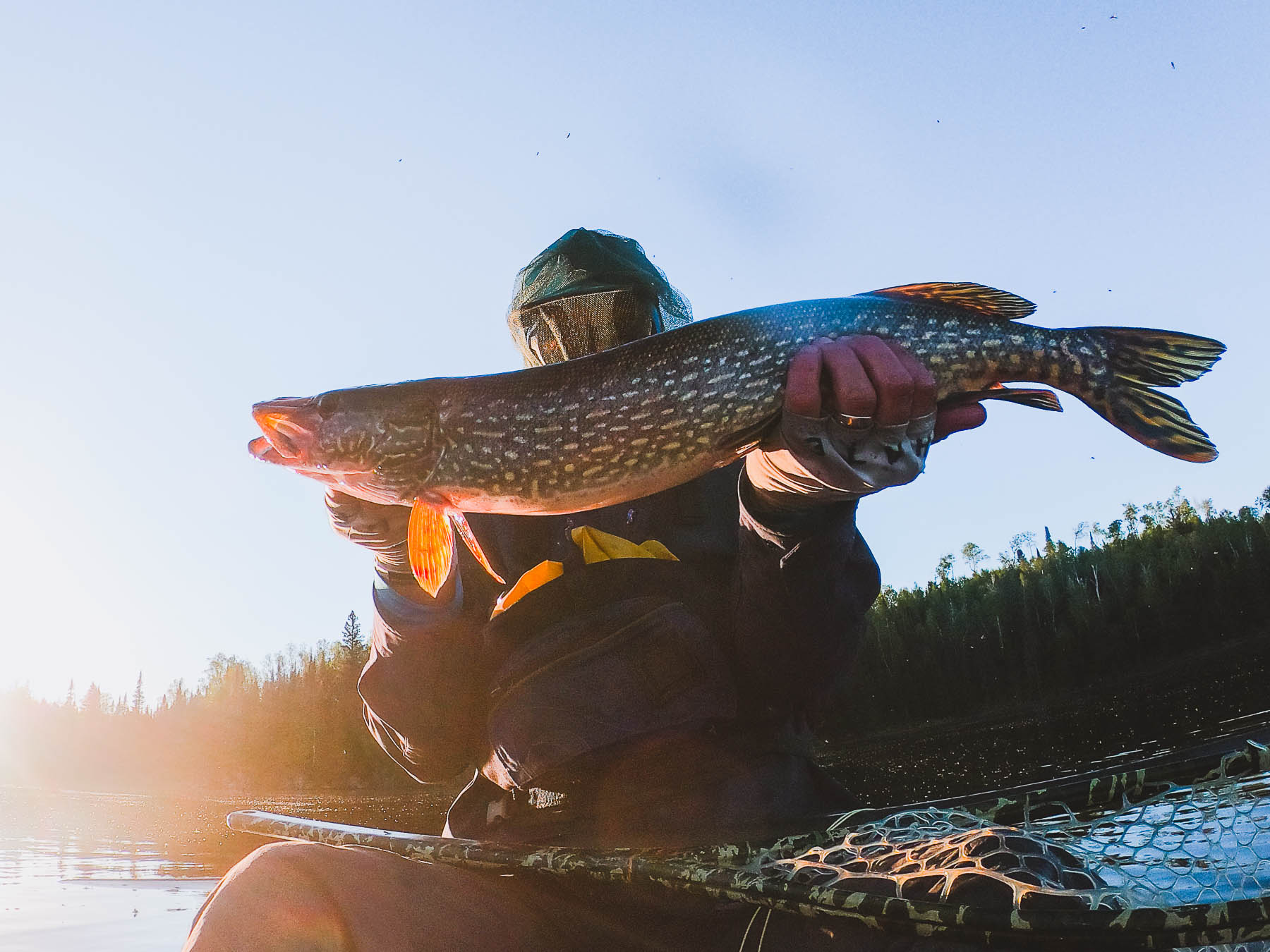 Hunting : Sportsmen for the Boundary Waters